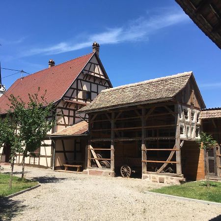 Gite D'Audrey Et Jean Uttenheim Exterior foto
