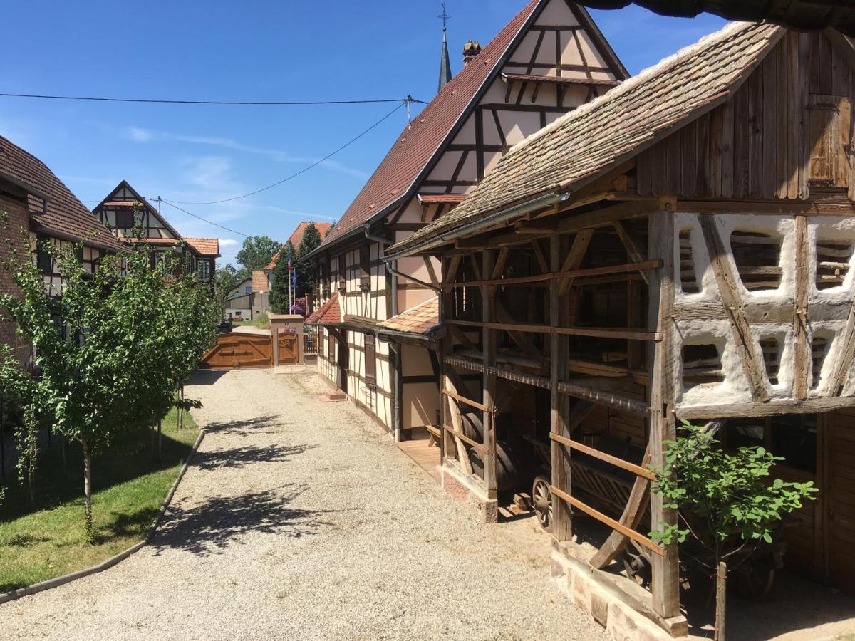 Gite D'Audrey Et Jean Uttenheim Exterior foto
