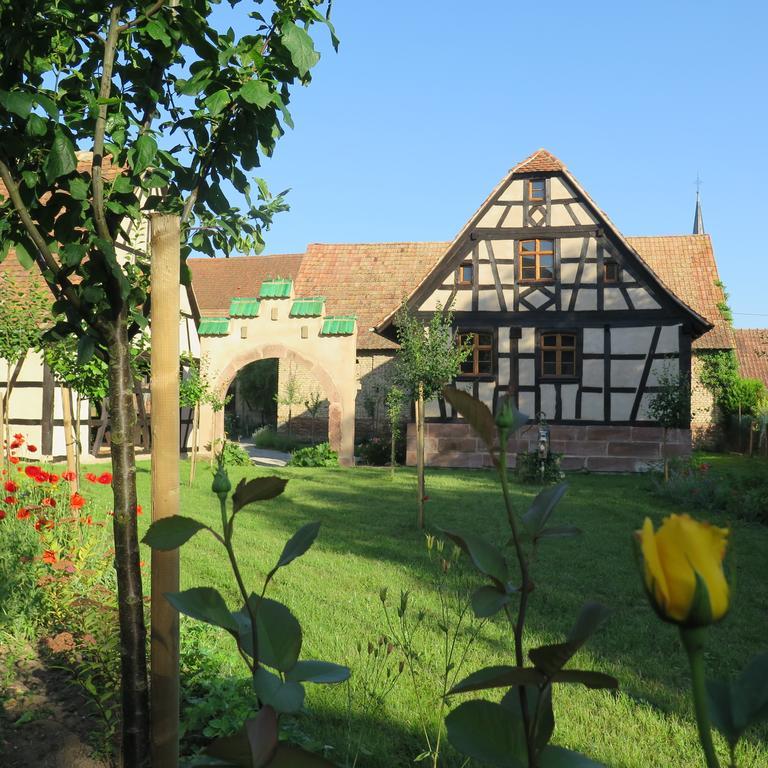 Gite D'Audrey Et Jean Uttenheim Exterior foto