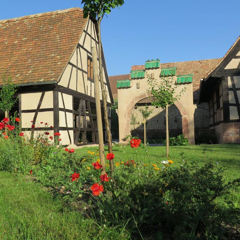 Gite D'Audrey Et Jean Uttenheim Exterior foto